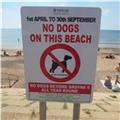 'NO DOGS ON THIS BEACH' !!!!!!!!